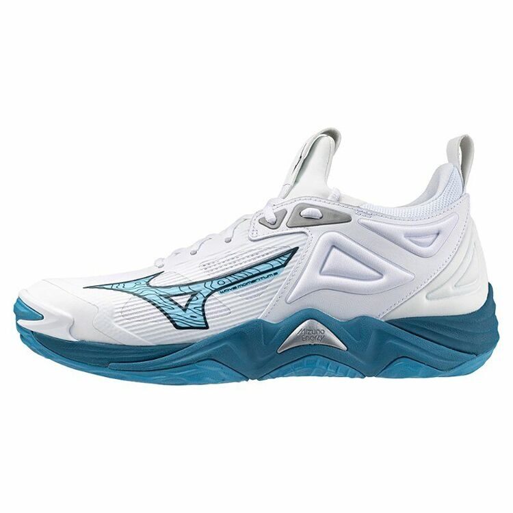 Mizuno Wave Momentum 3