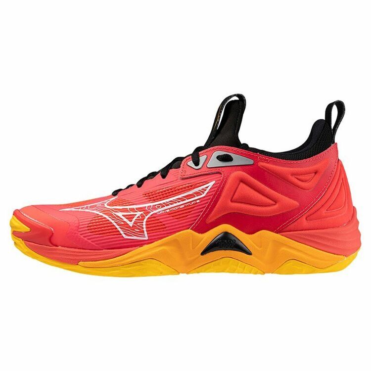 Mizuno Wave Momentum 3